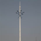 प्रसारण के लिए लघु निर्माण चक्र के साथ बहुभुज एचडीजी दूरसंचार टावर्स